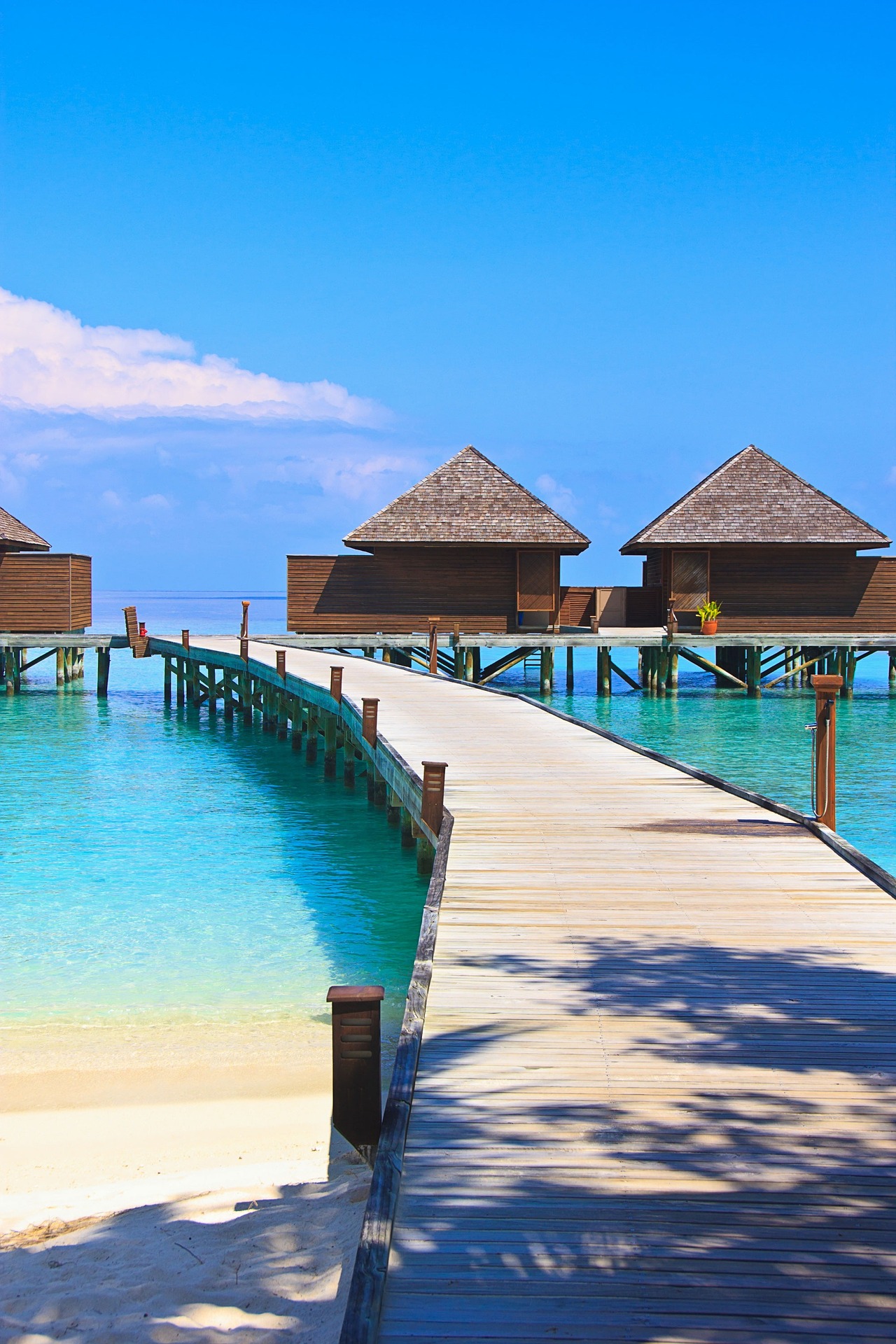 Overwater bungalows, tropical escape